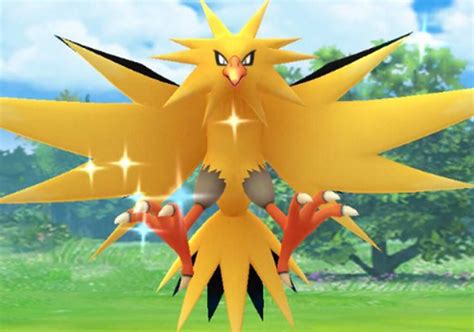 Shiny zapdos - A guide to efficiently finding shiny Pokémon in Pokémon: Let's Go, Pikachu! and Pokémon: Let's Go, Eevee! Smogon.com. ... Zapdos, and Moltres) are static encounters when first met. These Pokémon, like Mewtwo, also require resetting in order to find a shiny. The advantage of these encounters is that once a shiny has been stumbled upon, a ...